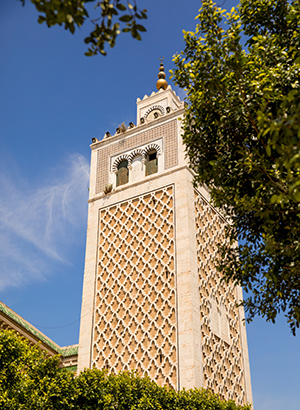 Moskee Tunis (Tunesië)