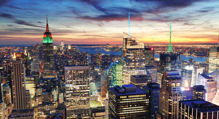 Wetland Slang Paard Goedkope vakantie New York City 2022 - dé VakantieDiscounter