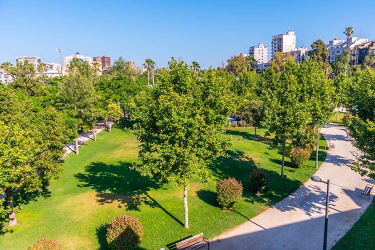 Wat te doen in Valencia, Turiapark