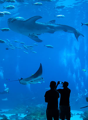 Bezienswaardigheden Paphos (Cyprus): aquarium