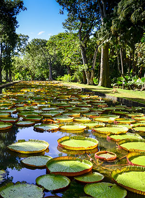 Mauritius met kinderen: natuur