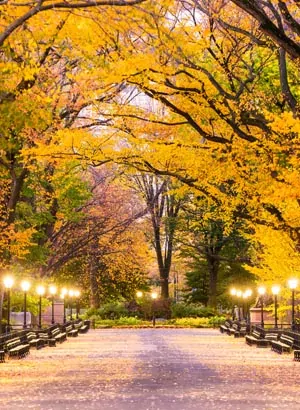 Central Park, New York: feitjes