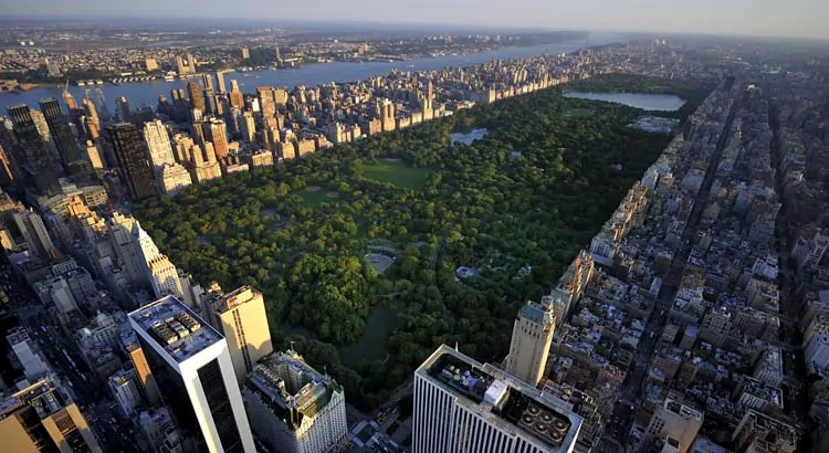 Wetland Slang Paard Goedkope vakantie New York City 2022 - dé VakantieDiscounter