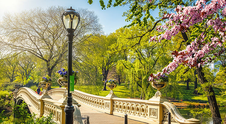 Leukste stadsparken