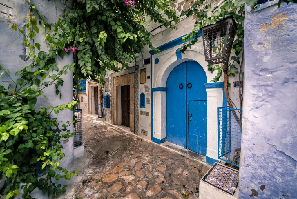 Badplaatsen Tunesie, Hammamet