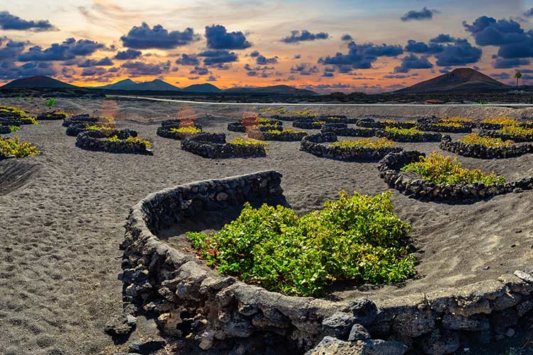 La Geria Lanzarote: landschap