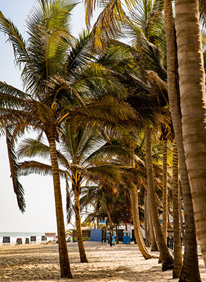 Redenen vakantie Gambia: strand