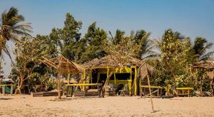 Wat te doen in Gambia? De ultieme checklist