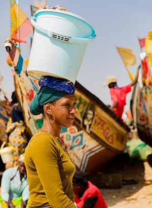 Wat te doen in Gambia; tour zuiden