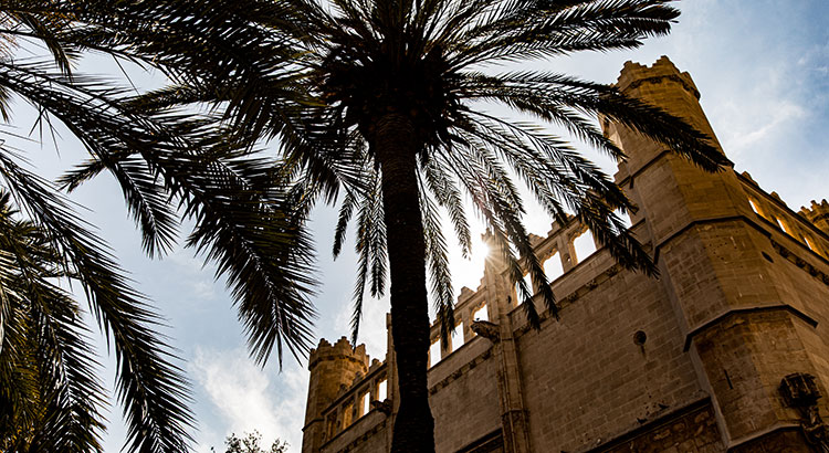 Doen in Palma de Mallorca
