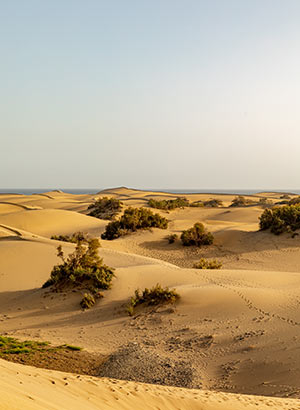 Excursies Gran Canaria: duinen