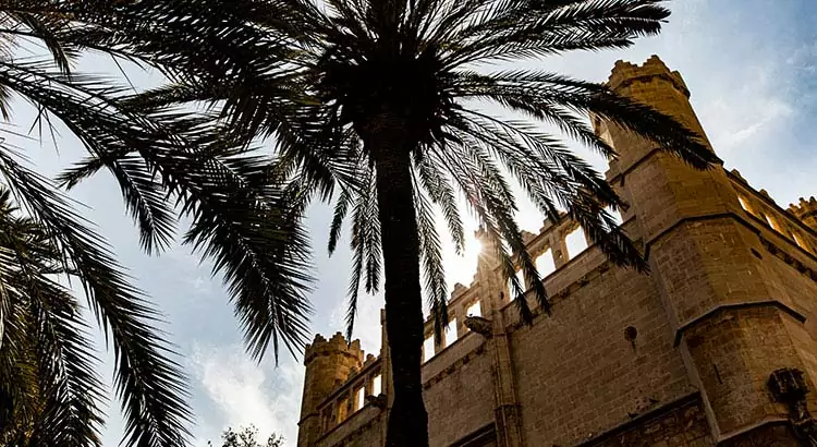 Wat te doen in Palma de Mallorca? Afvinken maar!