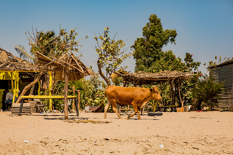 Sanyang Beach
