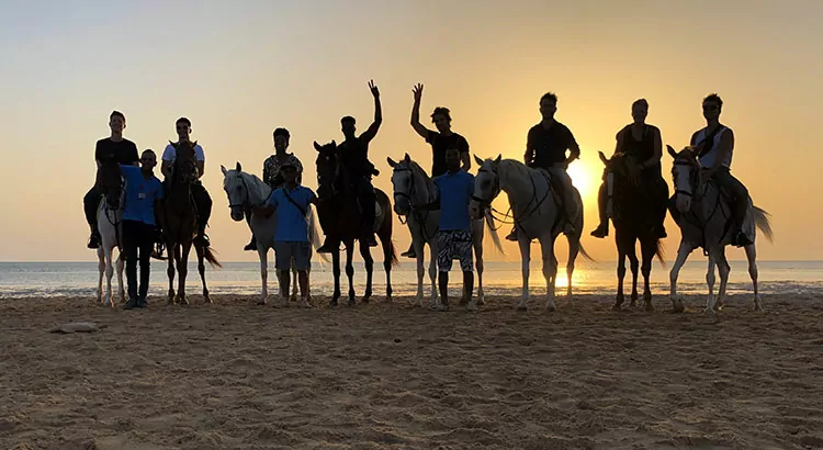 Magisch! Paardrijden in Egypte bij zonsopgang