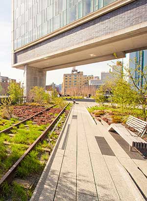 Reisgids New York 5 dagen: Highline