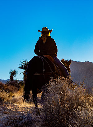 Dagjes uit & excursies vanuit Las Vegas: paardrijden