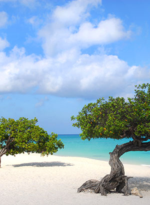 Mooiste stranden Aruba: Eagle Beach