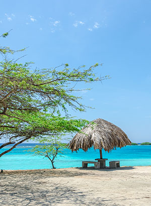 Mooiste stranden Aruba