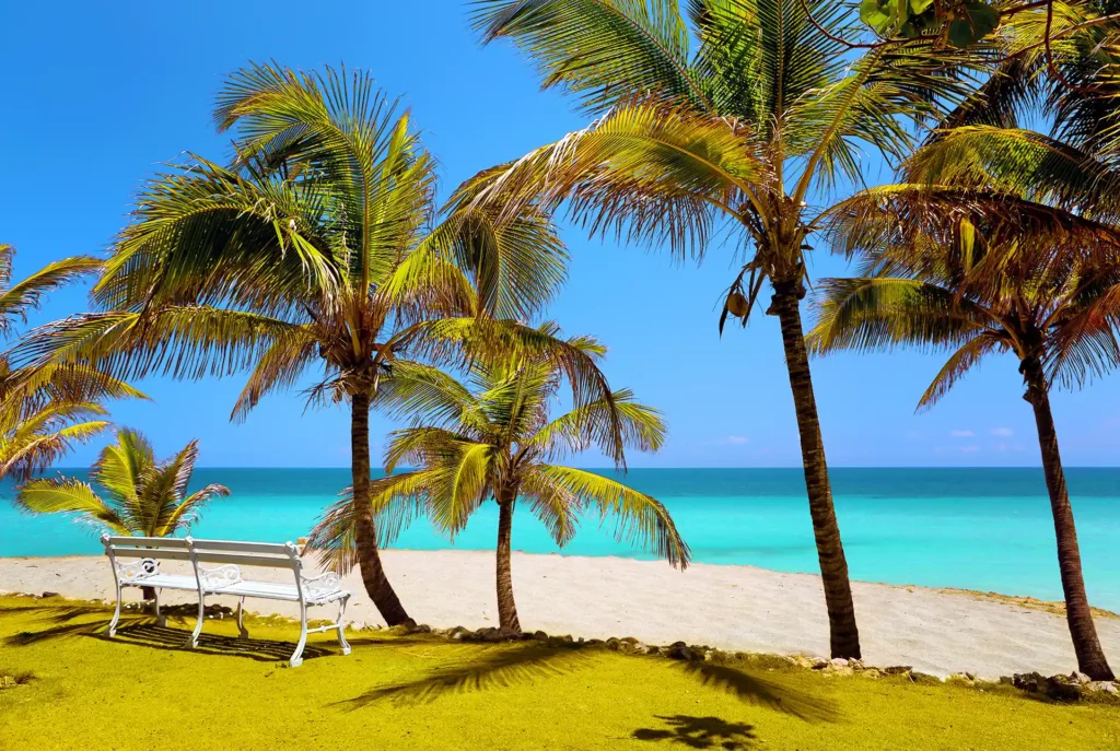 Verliefd op Cuba, redenen