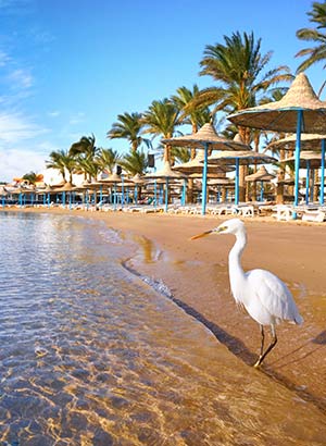 Badplaatsen Egypte, Hurghada