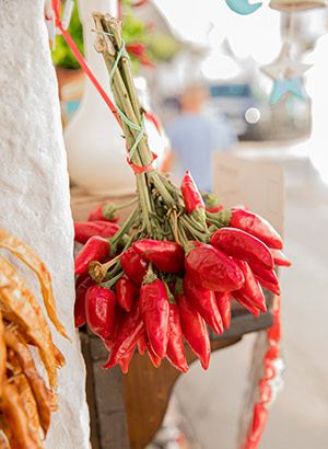 Doen in Alberobello, Puglia: lokale specialiteiten proeven 