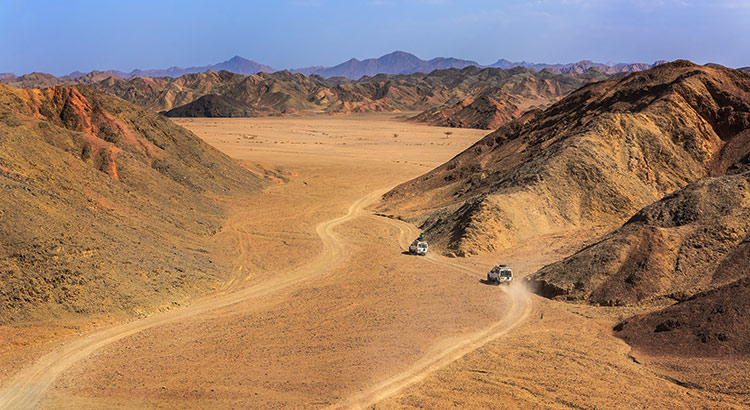 Doen in Marsa Alam, Egypte