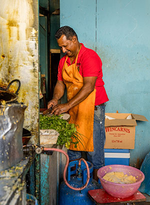 Local tour Port Lois, Mauritius