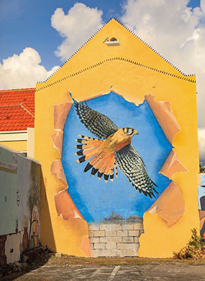 Street art Curaçao: Scharloo