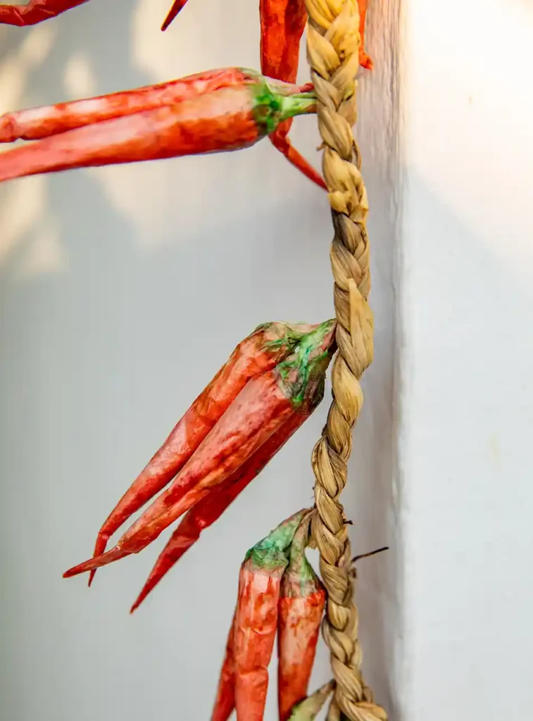 Wat te doen in Alberobello: culinair