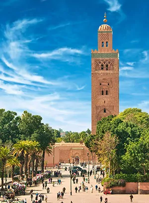 Zon in december: Marrakech