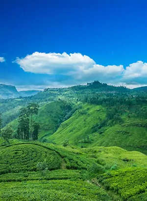 Zon in december: Sri Lanka