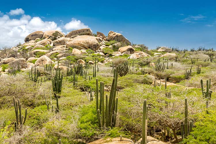 Bezienswaardigheden Aruba: Arikok National Park