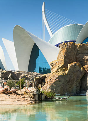 Ciudad de las Artes y Ciencias, Valencia: L’Oceanogràfic