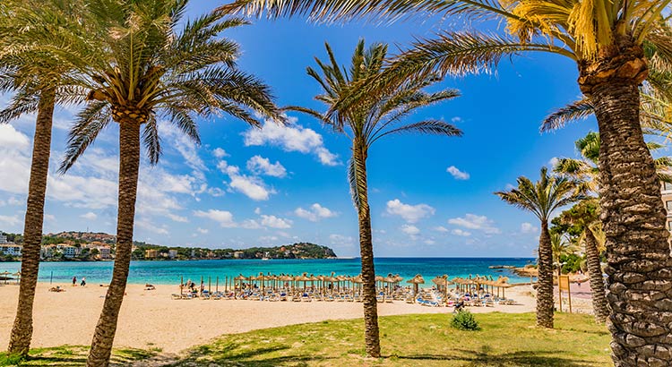 Ga je mee sunsnacken in Santa Ponsa?