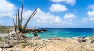 Washington Slagbaai National Park: wildlife op Bonaire