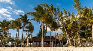 9 dingen die je misschien nog niet wist over Mauritius