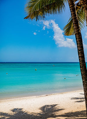 Weetjes Mauritius: strand