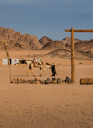 Wat te doen in Hurghada: woestijn