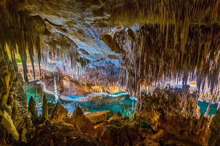 Excursies Mallorca: Grotten van Drach