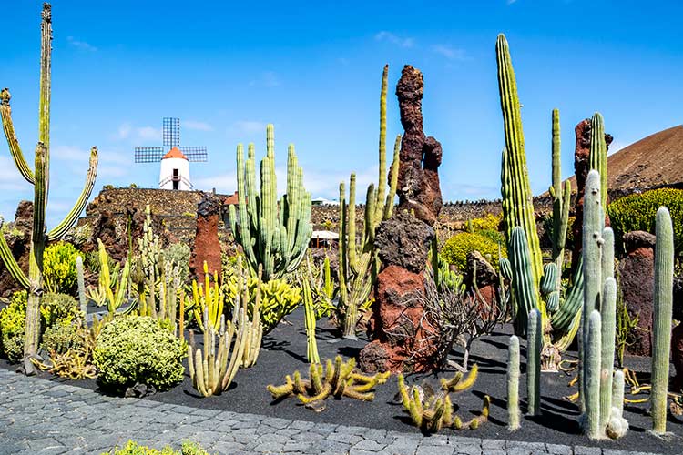 César Manrique, Lanzarote: Jardin de Cactus