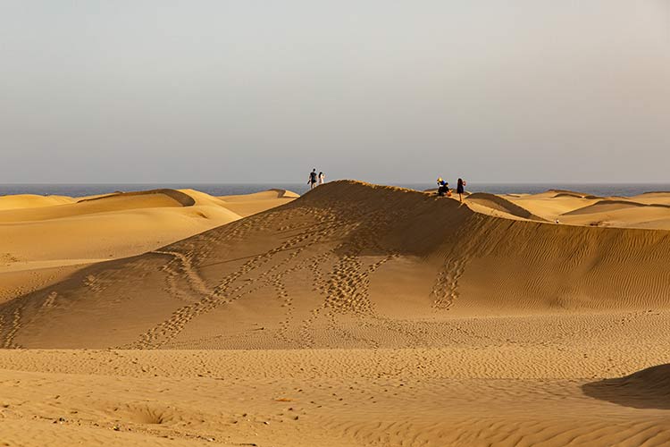 Wat te doen op Gran Canaria: Dunas de Maspalomas