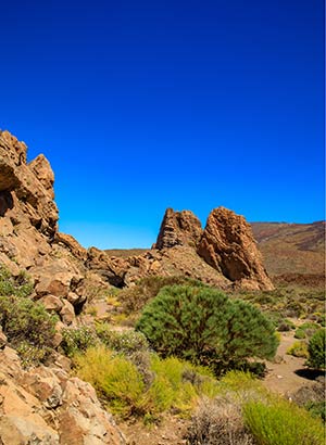 Vakantie Tenerife tips: zien