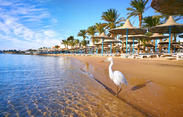 Badplaatsen Egypte: Hurghada