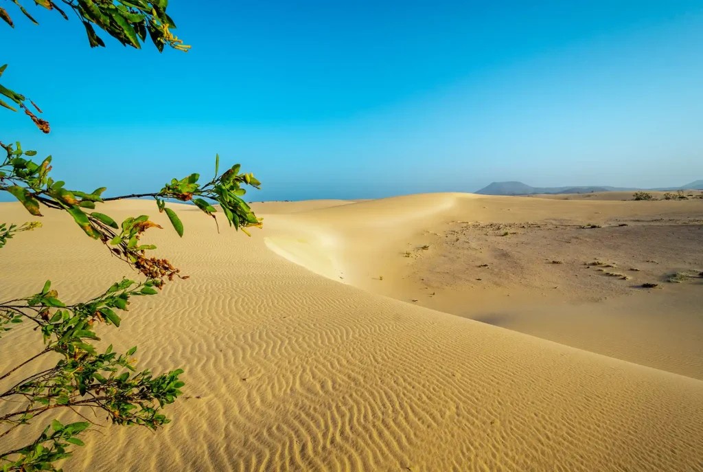 Bezienswaardigheden Fuerteventura: Dunas de Corralejo