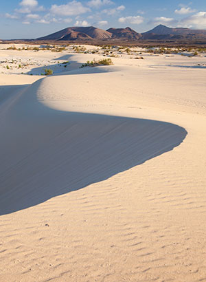 Vakantie Fuerteventura tips: duinen