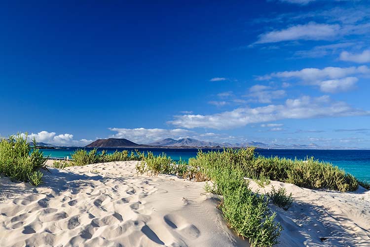 Wat te doen Fuerteventura: duinen Corralejo