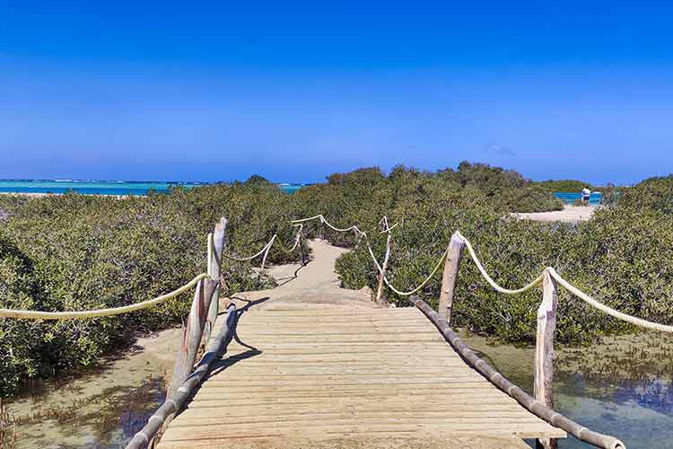 National park Wadi el Gemal