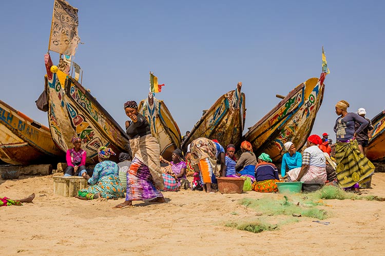 Wat te doen in Gambia: excursie