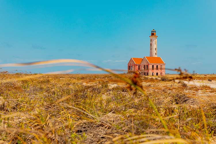 Dagtrip Klein Curaçao: vuurtoren