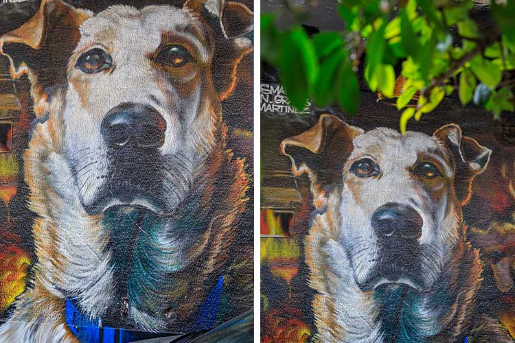 Street art Athene: zwerfhond